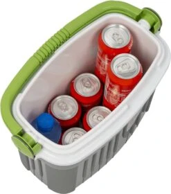 EDA Koelbox - Iceberg - 8 Liter - Grijs 8 EDA Koelbox - Iceberg - 8 Liter - Grijs -Buitenkampeerwinkel 1057x1200 1