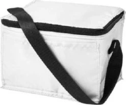 Koeltas - Mini Koeltas - Geschikt Voor 6 Blikjes - Compact Koeltas + 2 Koelelementen - Rheme -Buitenkampeerwinkel 1200x1001