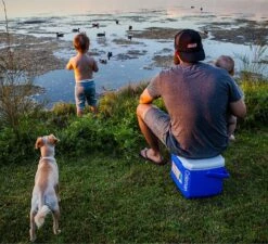 Coleman 16QT Performance Tricolor Koelbox - 15L - Blauw/Grijs -Buitenkampeerwinkel 1200x1094 2