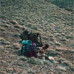 LOWLAND OUTDOOR® Donzen Slaapzak - Super Compact Blanket - 210 X 80 Cm - 590gr +8°C 21 LOWLAND OUTDOOR® Donzen Slaapzak - Super Compact Blanket - 210 X 80 Cm - 590gr +8°C -Buitenkampeerwinkel 1200x1196 4