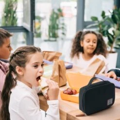 Brisby 4 Laags Geïsoleerde Koeltas - Lunchtas 1.5 Liter - Zwart -Buitenkampeerwinkel 1200x1200 282