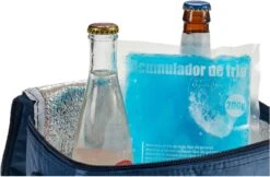 Arte R Koelelementen/icepacks - Herbruikbaar - 15 X 13 X 2 Cm -Buitenkampeerwinkel 1200x789