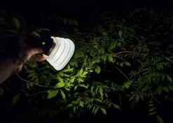 Solar Led Camping Lamp - Tent Verlichting Oplaadbaar - Solar Lantaarn Tafellamp Opvouwbare Campinglamp - King Mungo -Buitenkampeerwinkel 1200x856 1