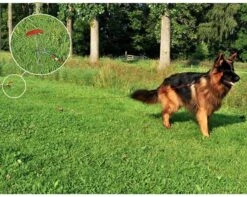 PROPLUS Pro Plus Aanlegspiraal - Hondenpen Met Handvat En Ring - Lengte 39 Cm -Buitenkampeerwinkel 1200x959